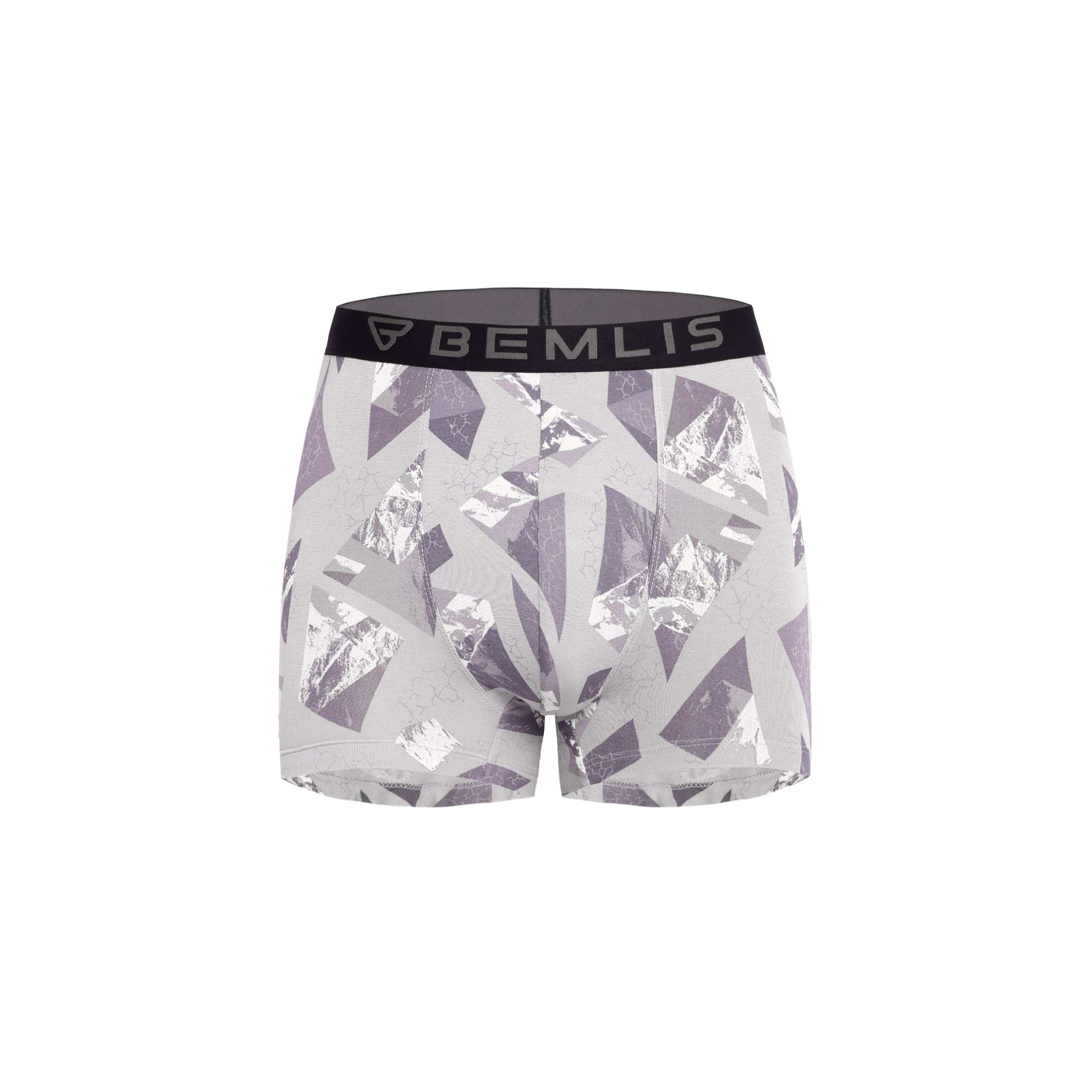 Silver Prism Trunk