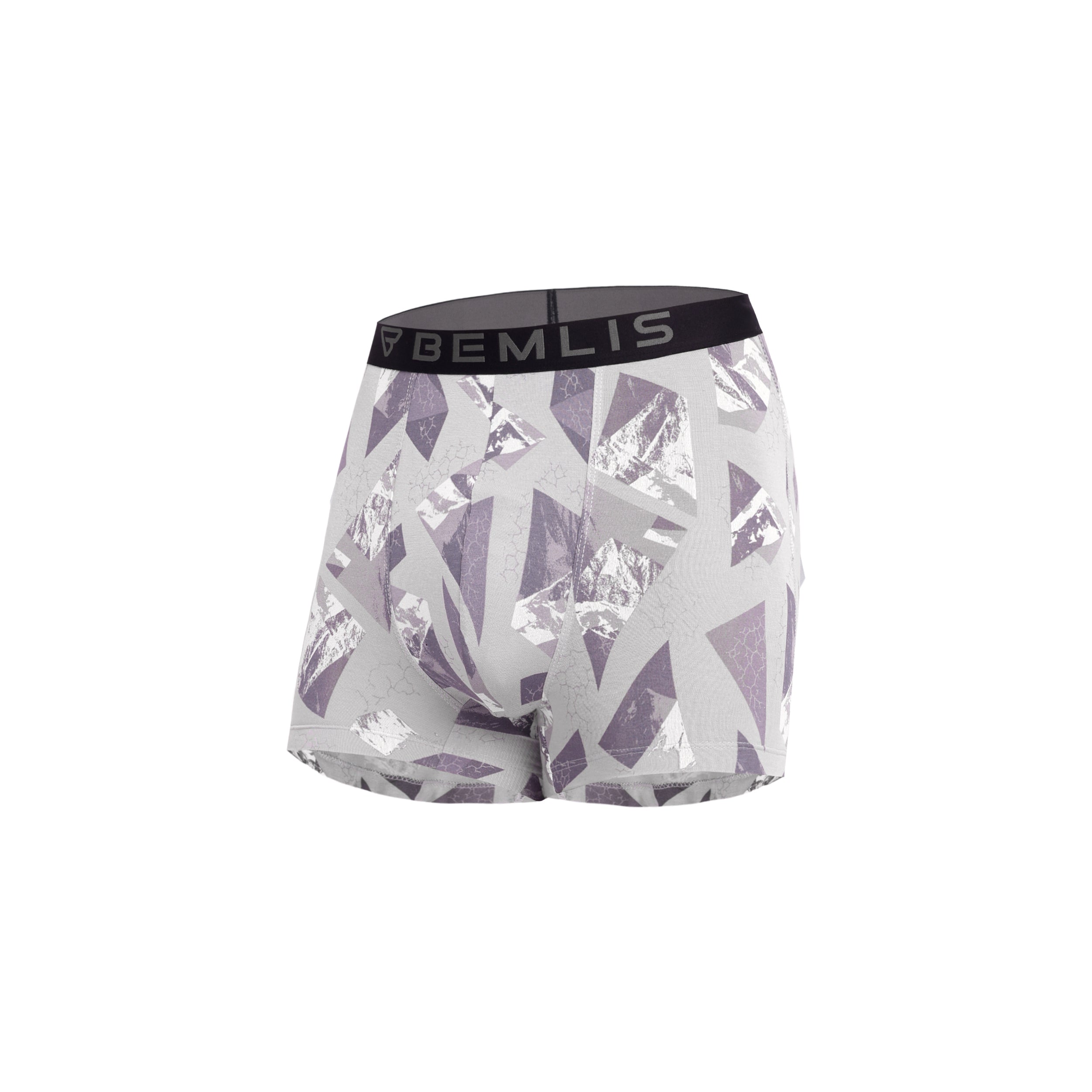 Silver Prism Trunk
