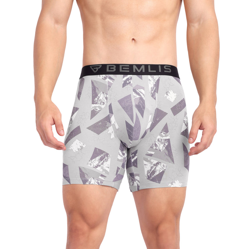 Silver Prism Boxer Brief