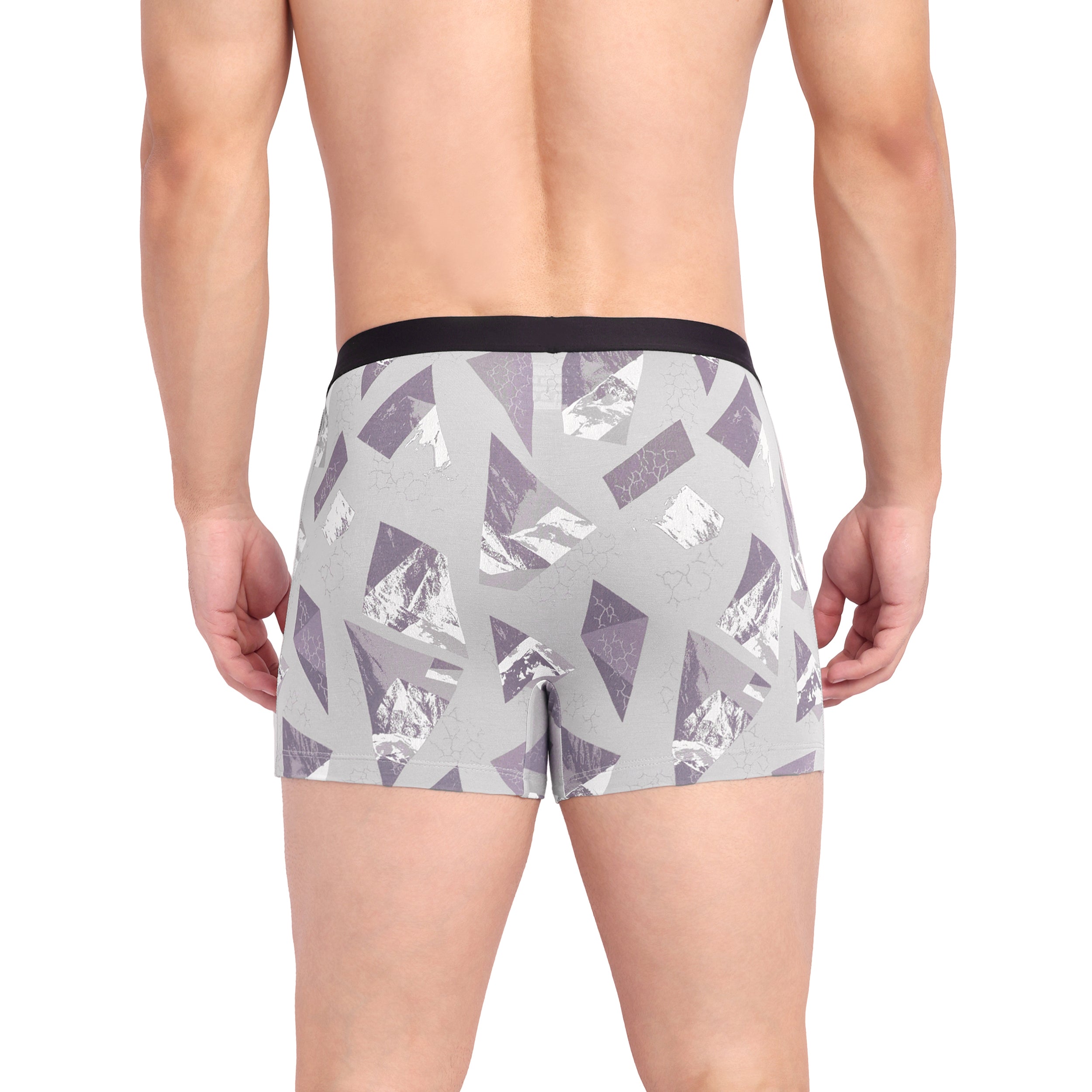 Silver Prism Trunk