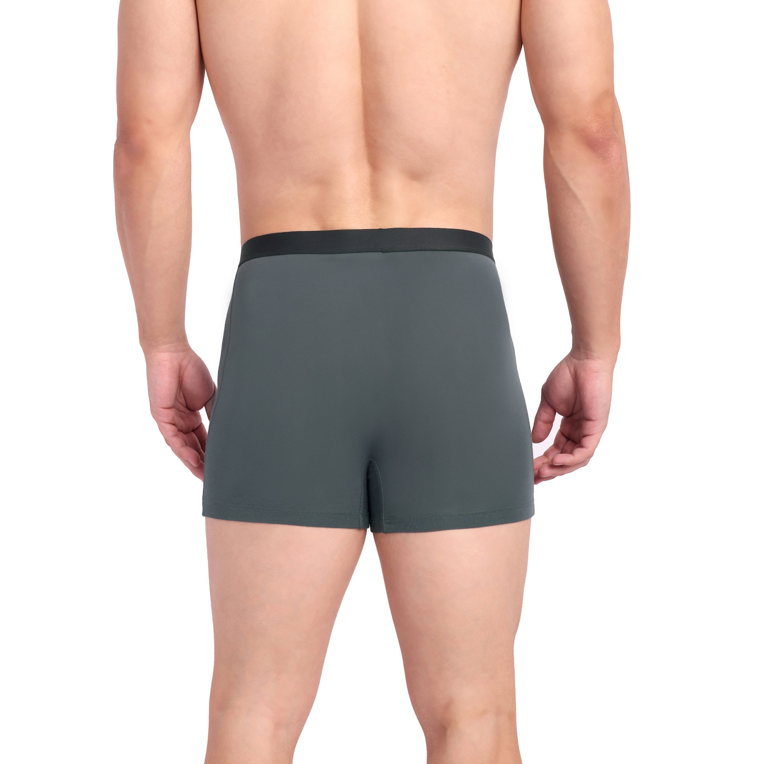 Dove Grey Trunk