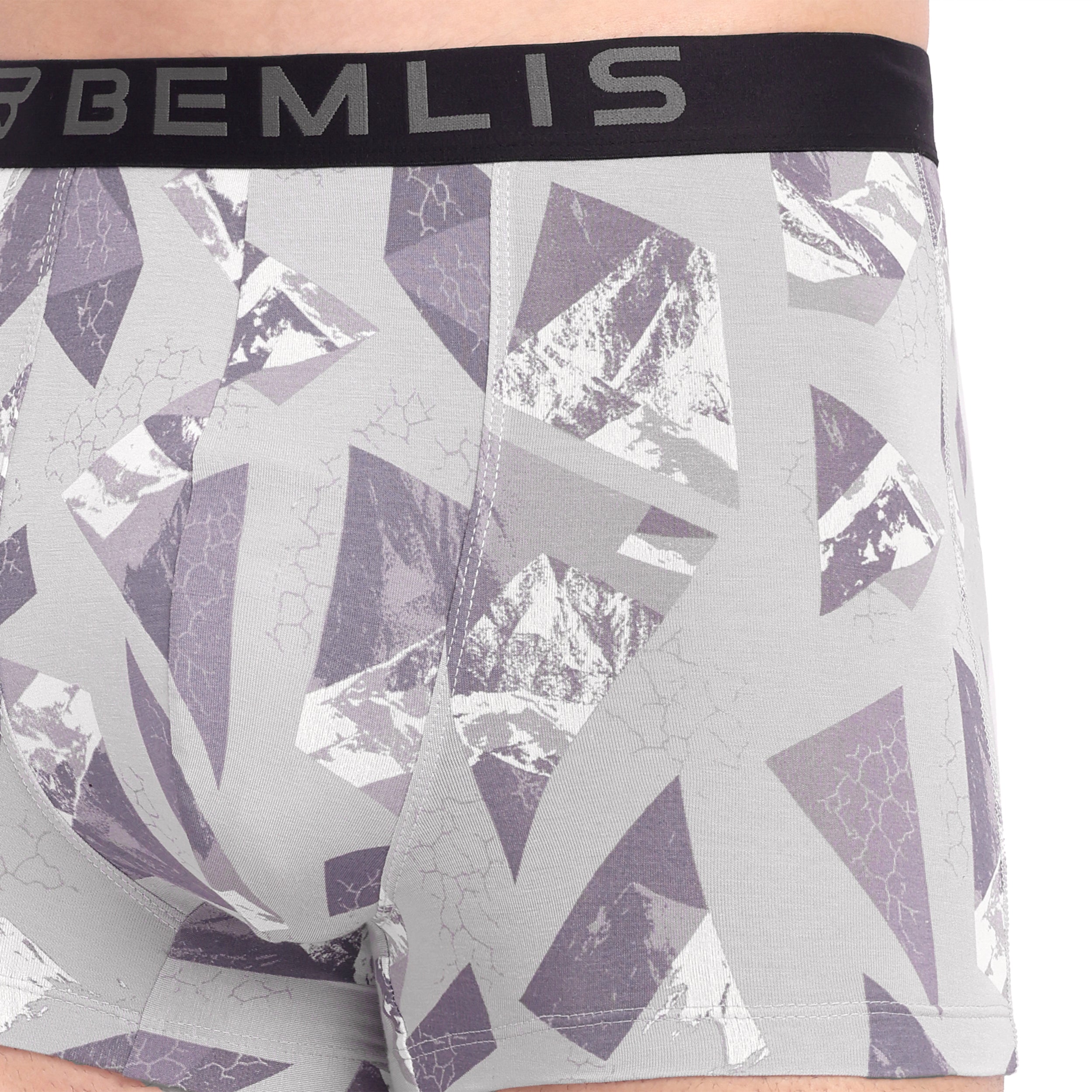 Silver Prism Trunk