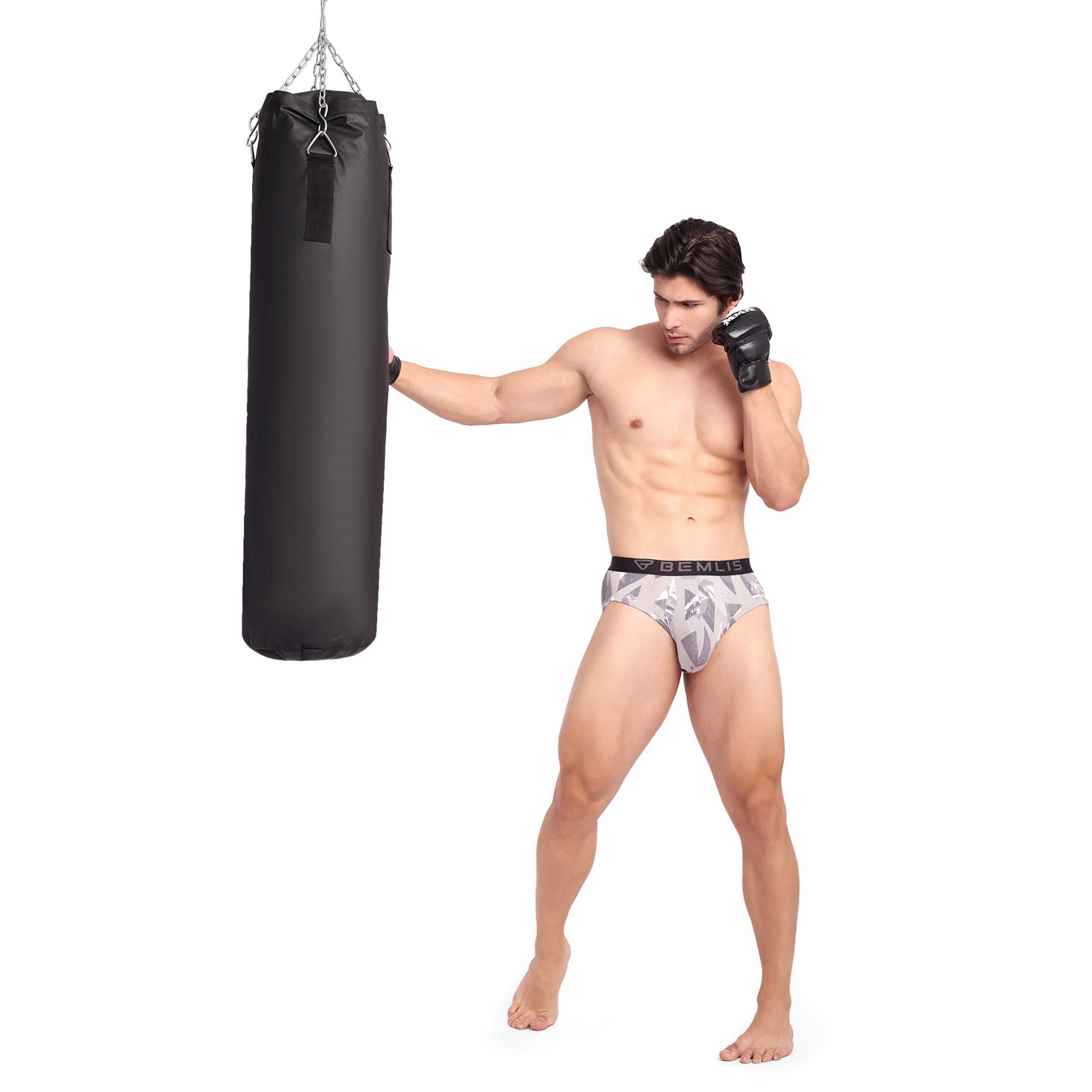 Silver Prism Brief