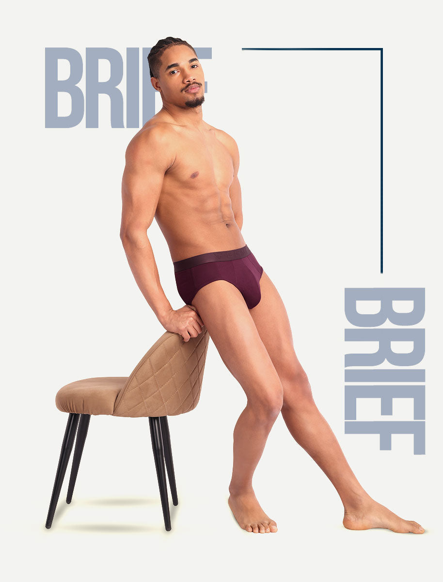 Brief