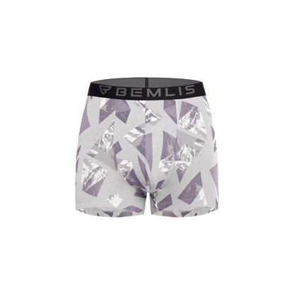 Silver Prism Trunk