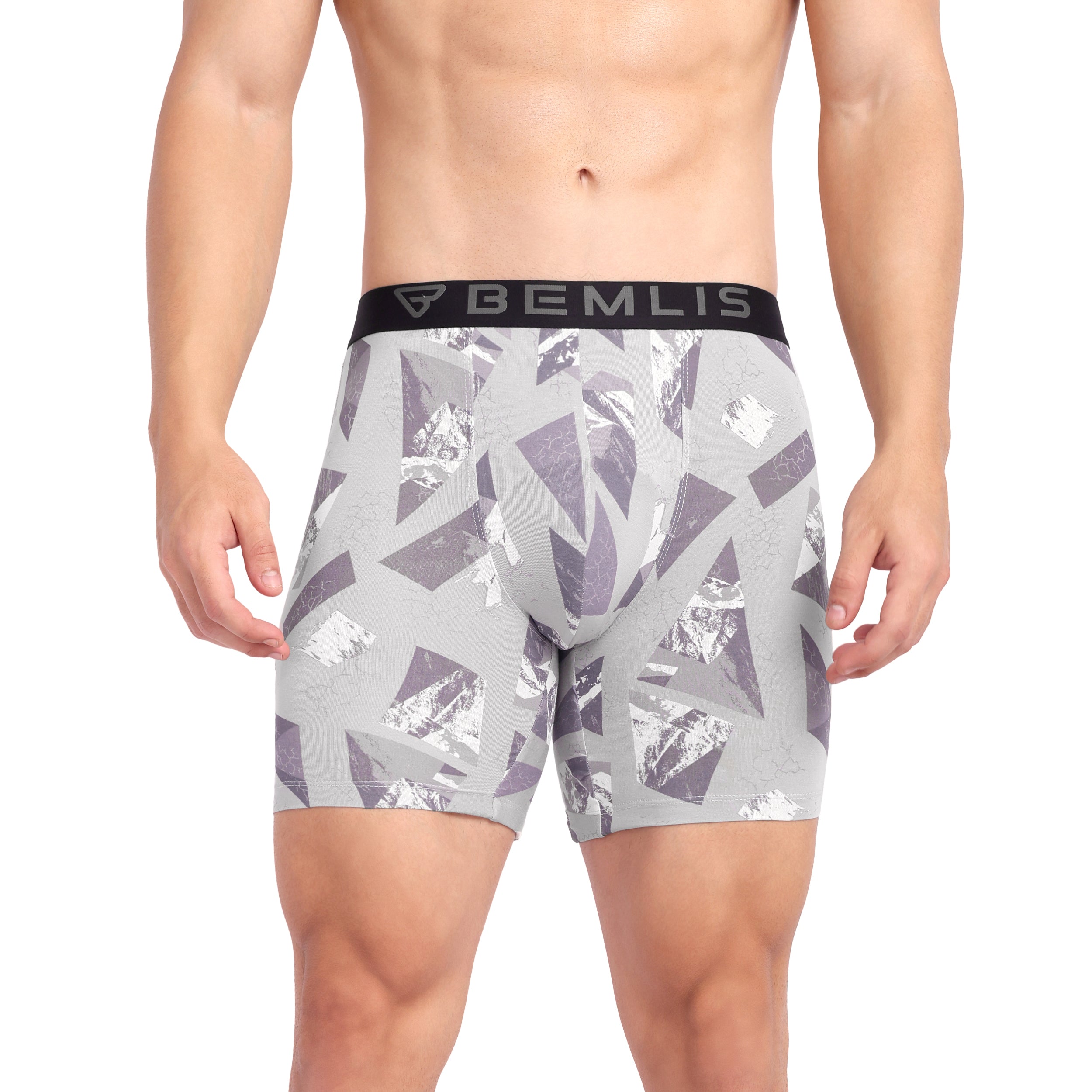 Silver Prism Boxer Brief