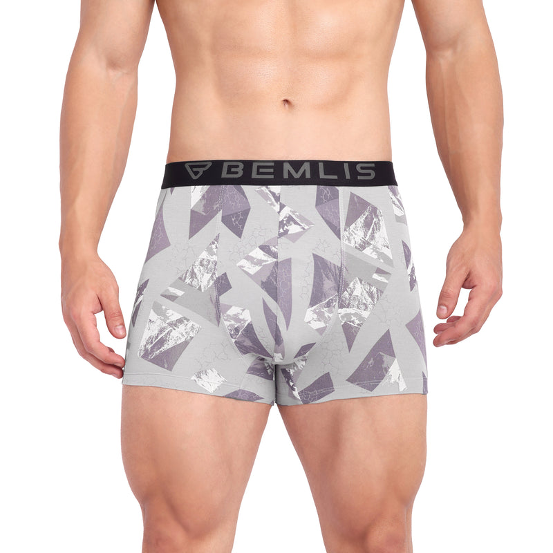 Silver Prism Trunk