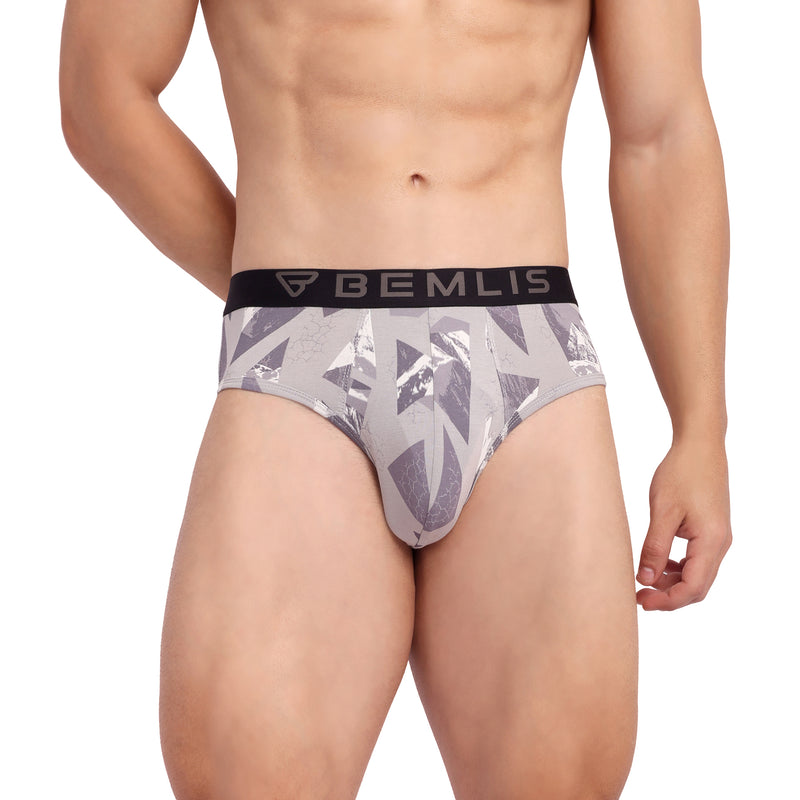 Silver Prism Brief