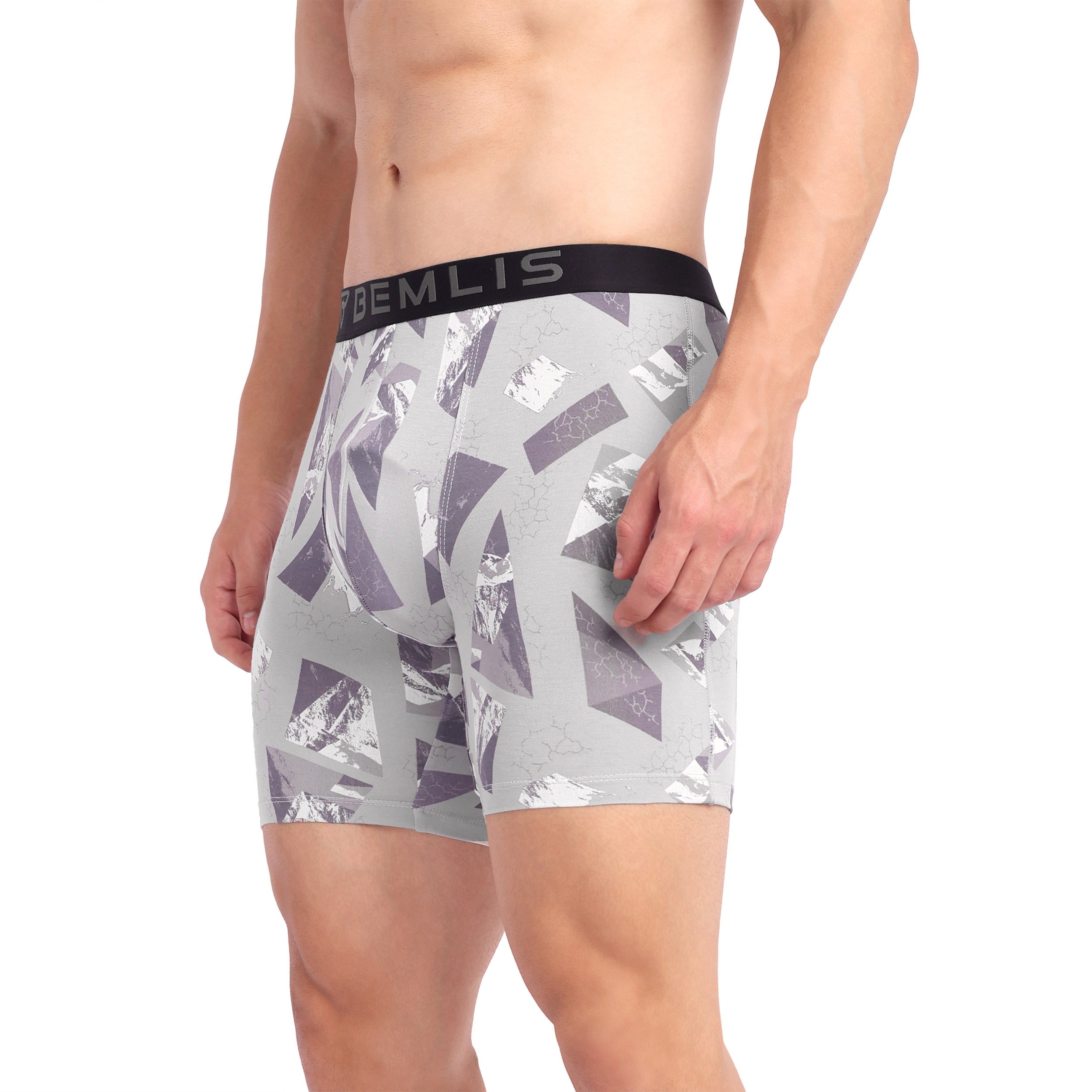 Silver Prism Boxer Brief