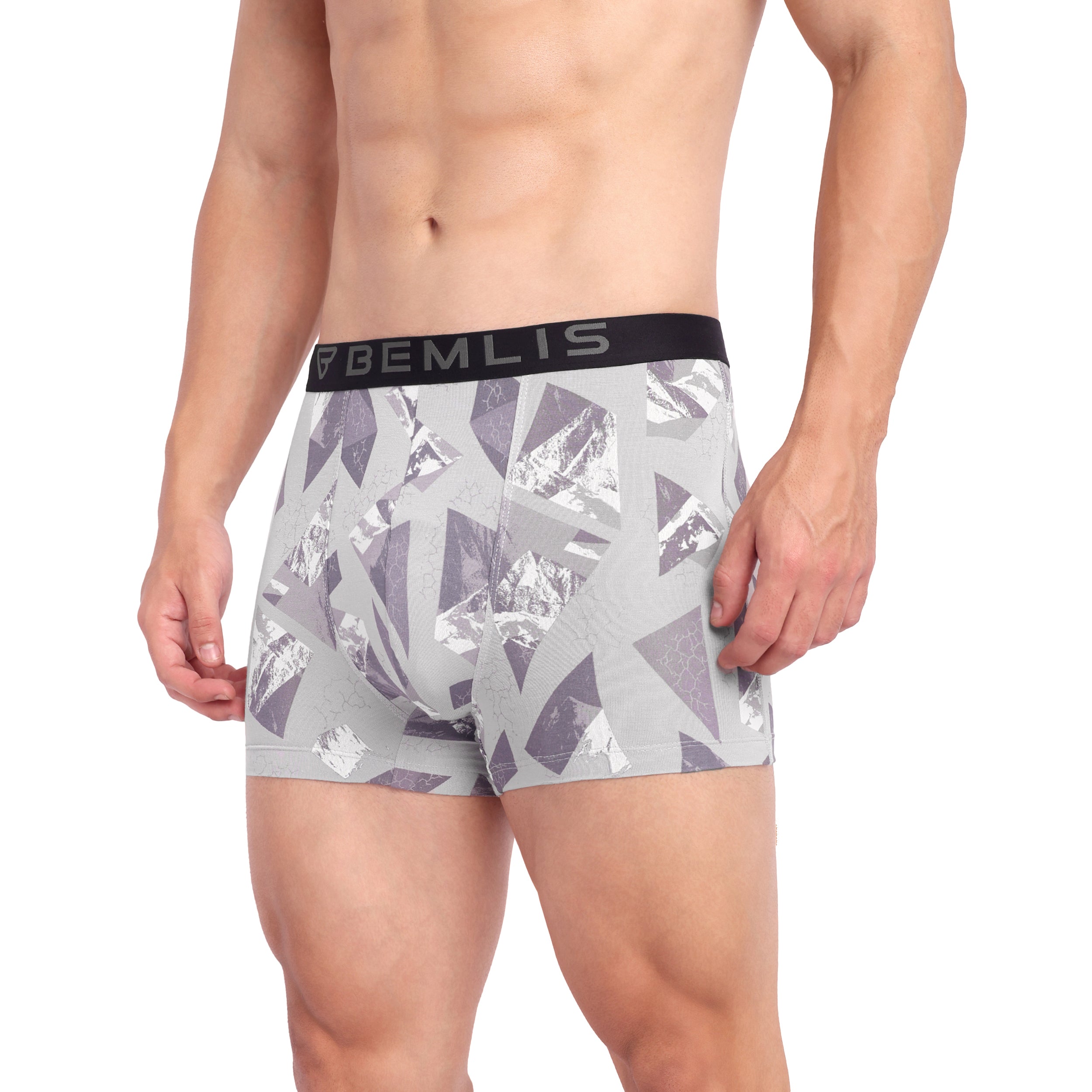 Silver Prism Trunk