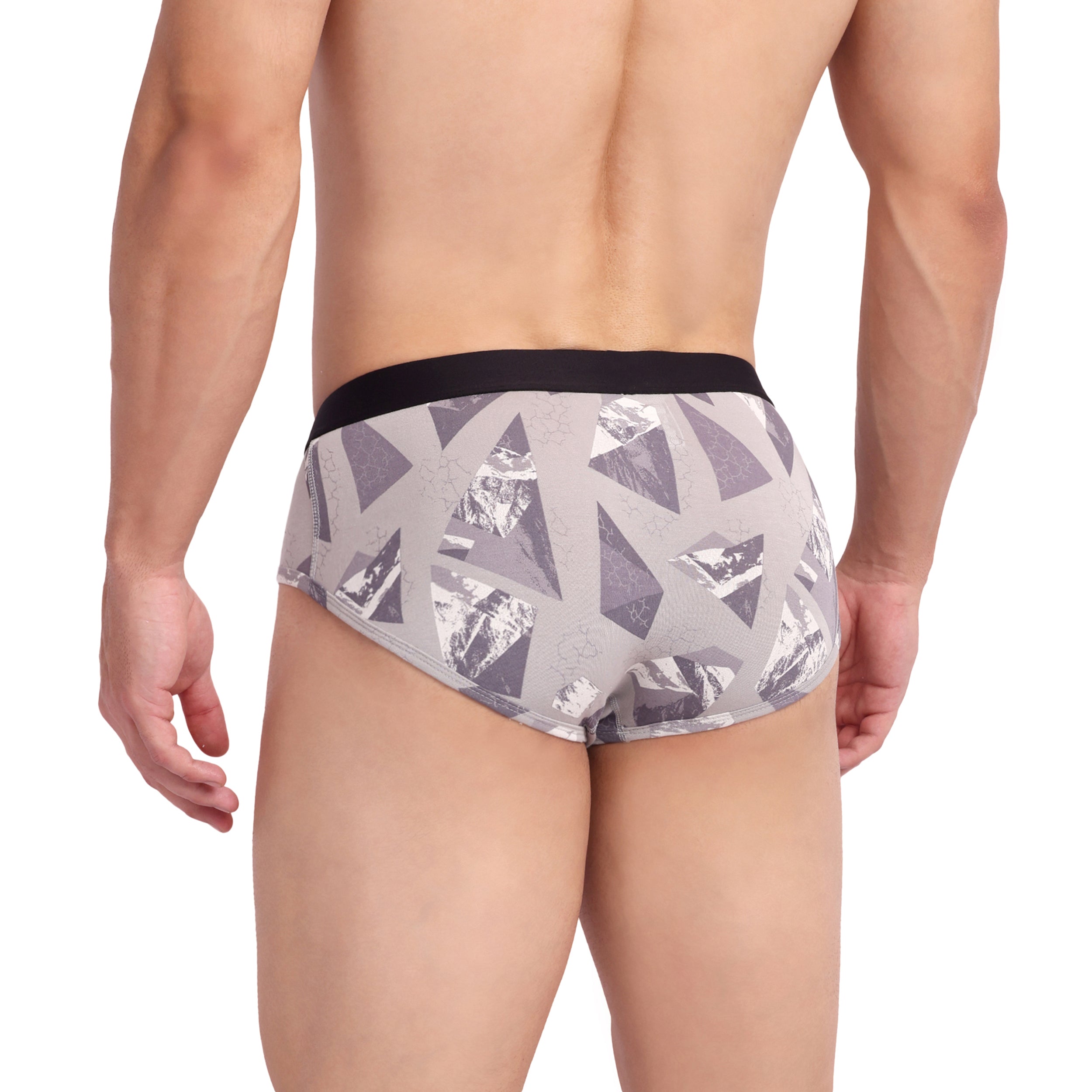 Silver Prism Brief