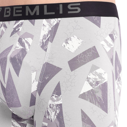 Silver Prism Boxer Brief