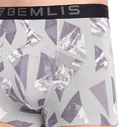 Silver Prism Trunk